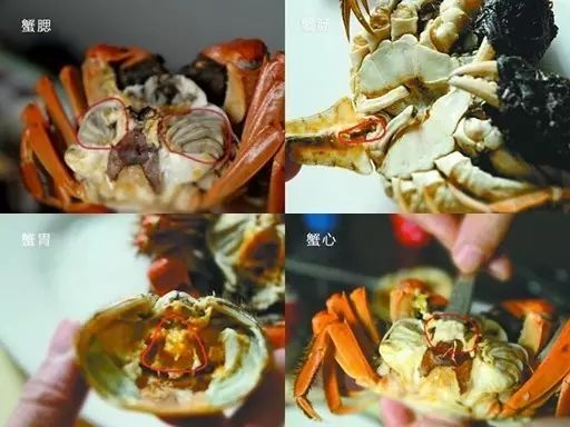 螃蟹正确吃法的图片图片