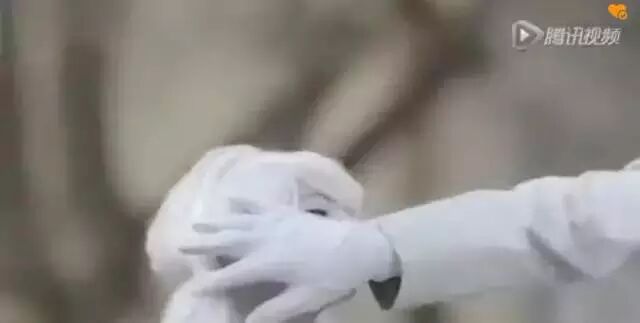 孩子究竟该不该打？所有人看完都泪流满面