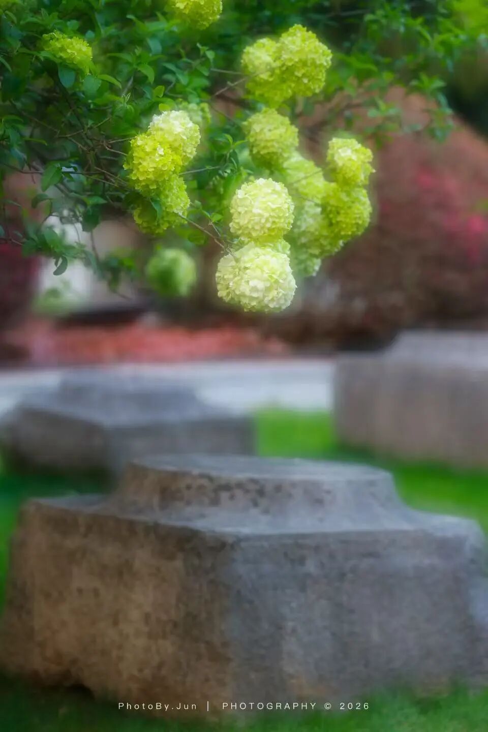 b22dffba9a0cea66e4d6a36f2d835b16_.jpg