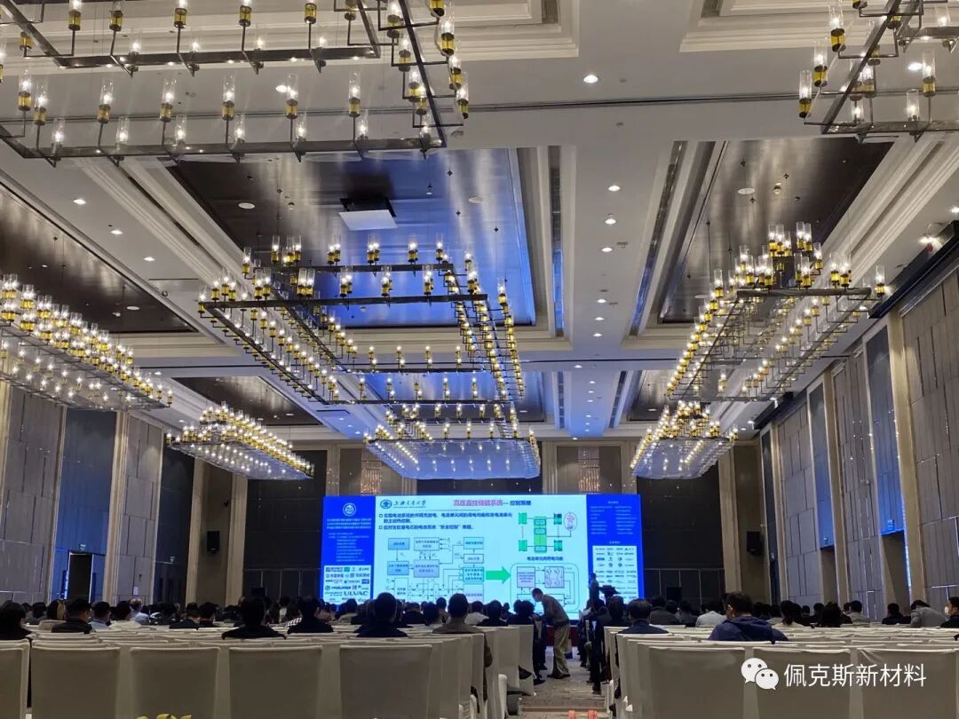 佩克斯新材料|参加第六届全国新型半导体功率器件及应用技术研讨会 (图1)