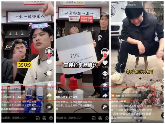 摊牌了！疯狂小杨哥背后，可能是整个合肥！