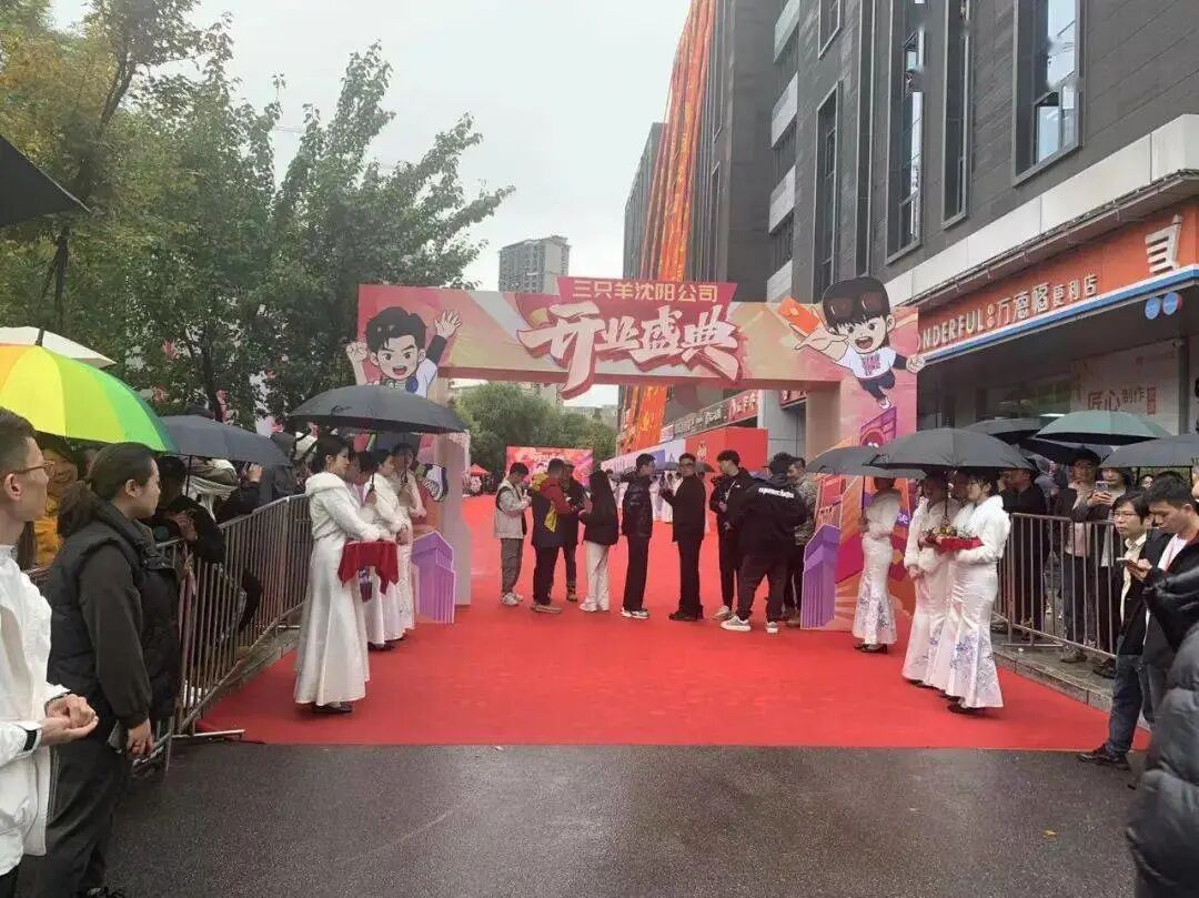 摊牌了！疯狂小杨哥背后，可能是整个合肥！