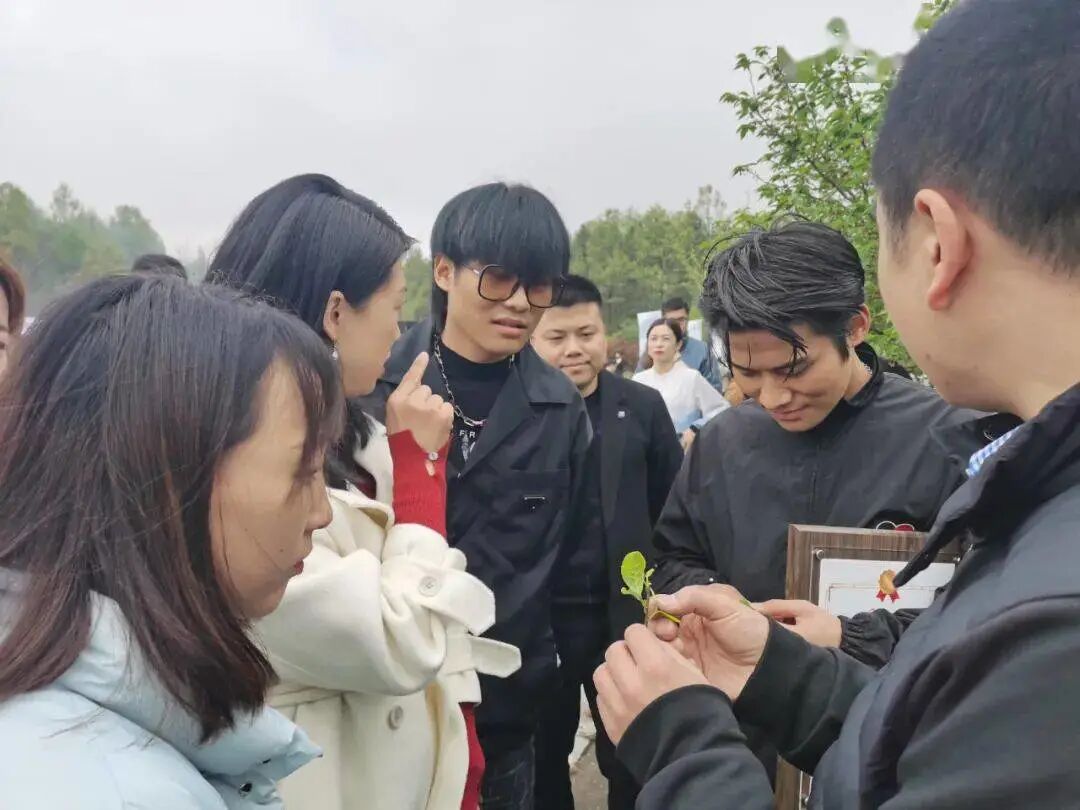 不装了！3000万的演唱会！小杨哥，喂饱了谁？