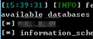 Example Image