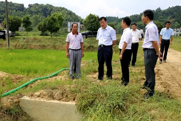 实地了解旱情和抗旱工作.jpg