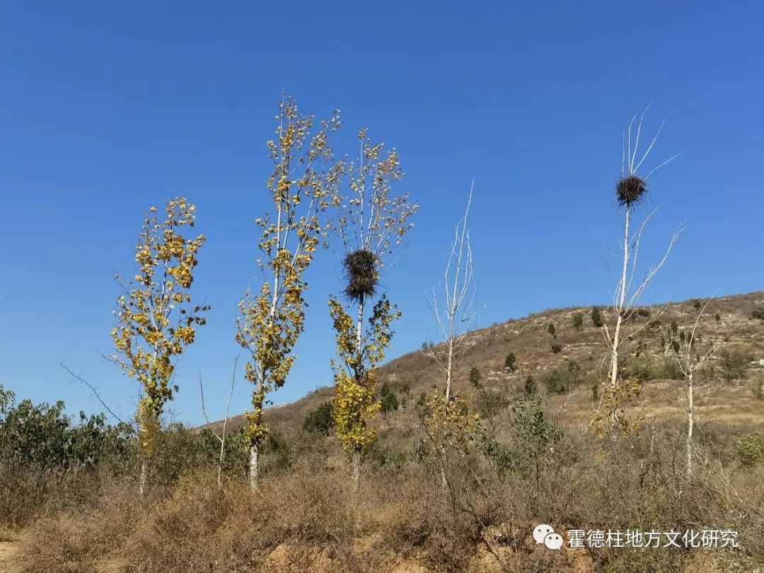 河南山區小村兒驚現明代閣樓元代古碑神秘巨石眾說紛紜