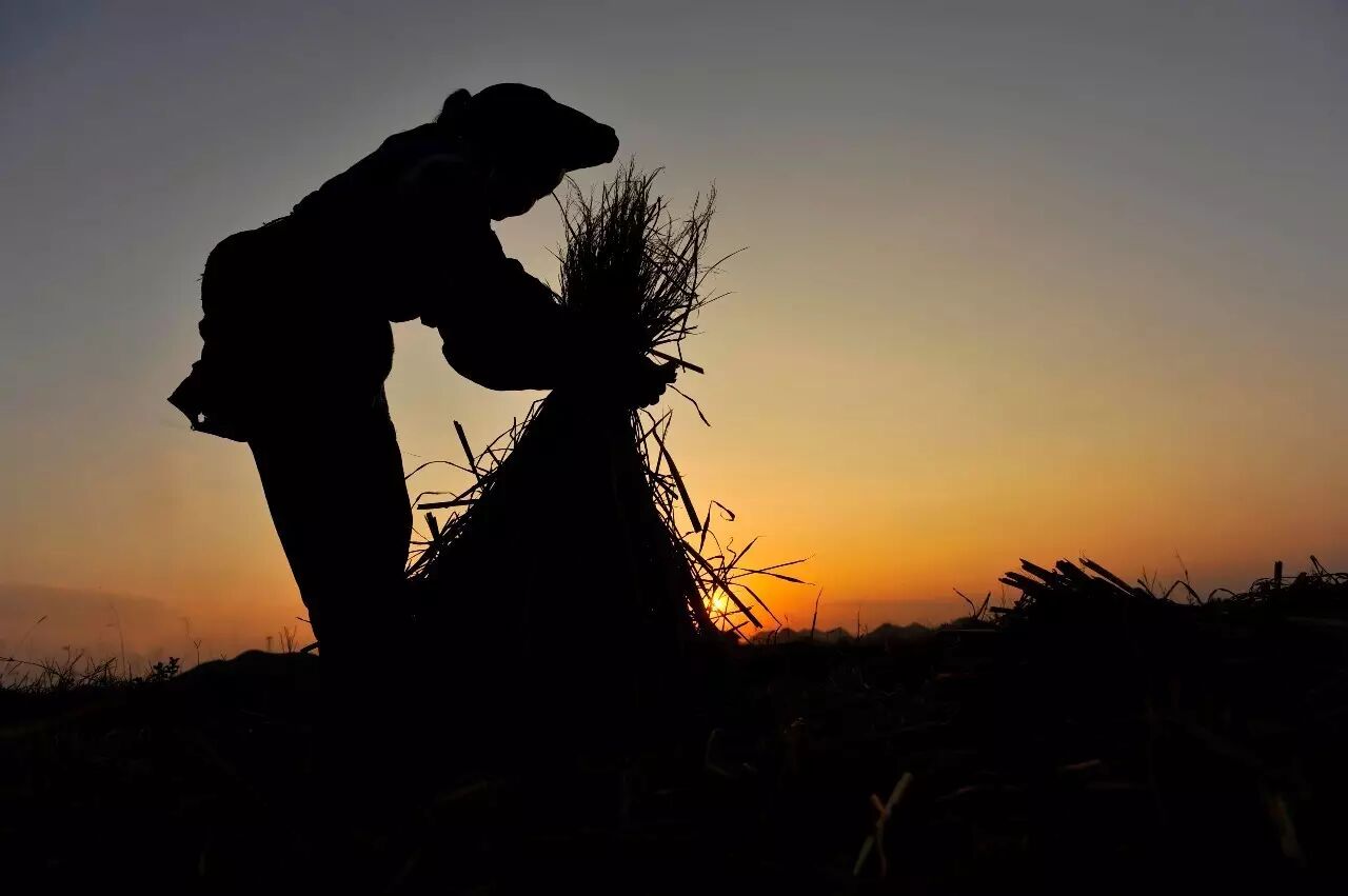 陶渊明:让生命回归丰富的宁静