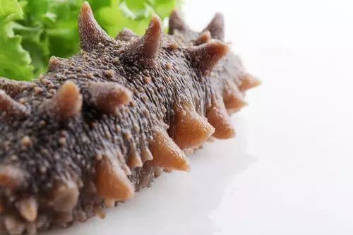 海参即食甜品撷取：即食海参最简单的菜色和即食海参作法六本