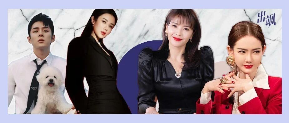 人间迷惑｜明星&网红谁更羡慕谁？