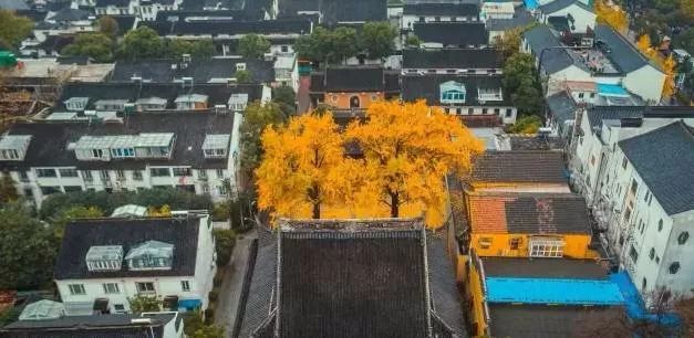 再見錦鯉，請收好這份蘇州10大寺廟禮佛指南！ 旅行 第29張