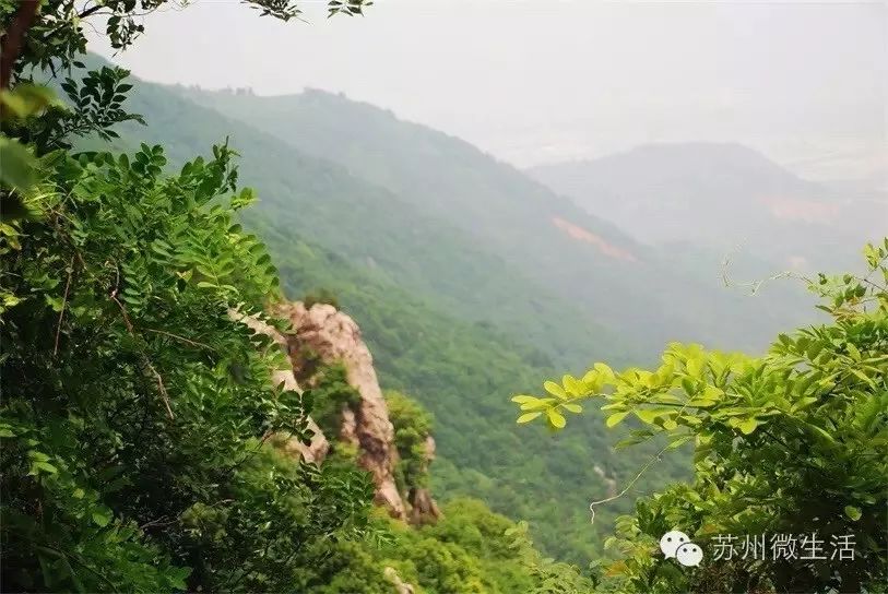 再見錦鯉，請收好這份蘇州10大寺廟禮佛指南！ 旅行 第25張