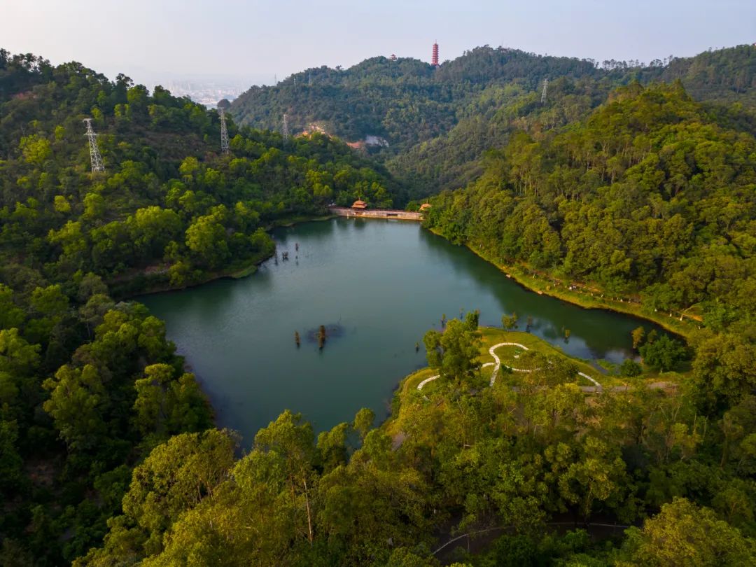 江门鹤山风景区图片