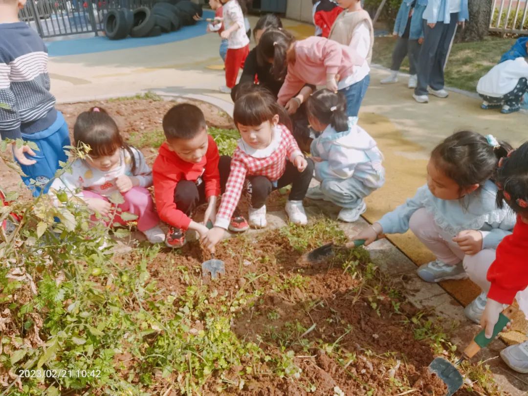 幼儿园混龄班的利弊_混龄班幼儿教育活动实例_混龄经验心得