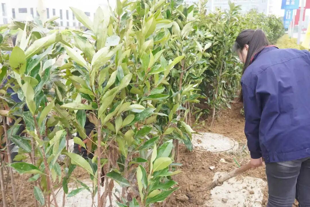 植树添绿意，献血传爱心——这个植树节，我们这样过！