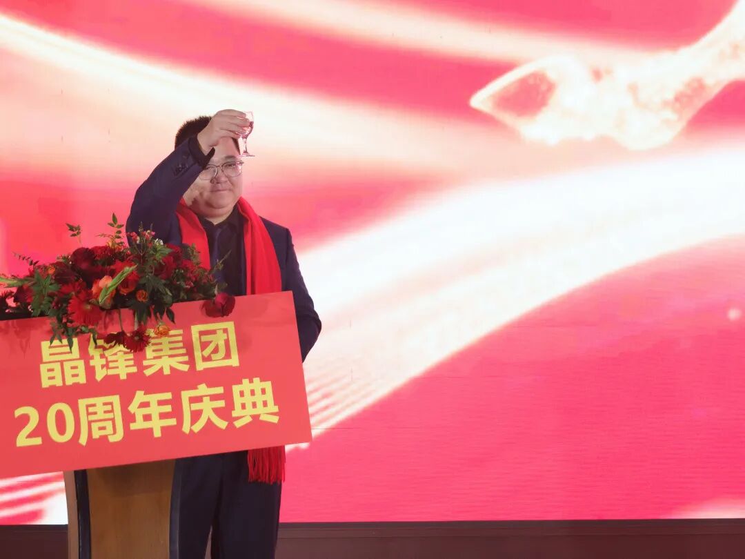 廿载共奋进，同心向未来2025年度表彰大会圆满举行