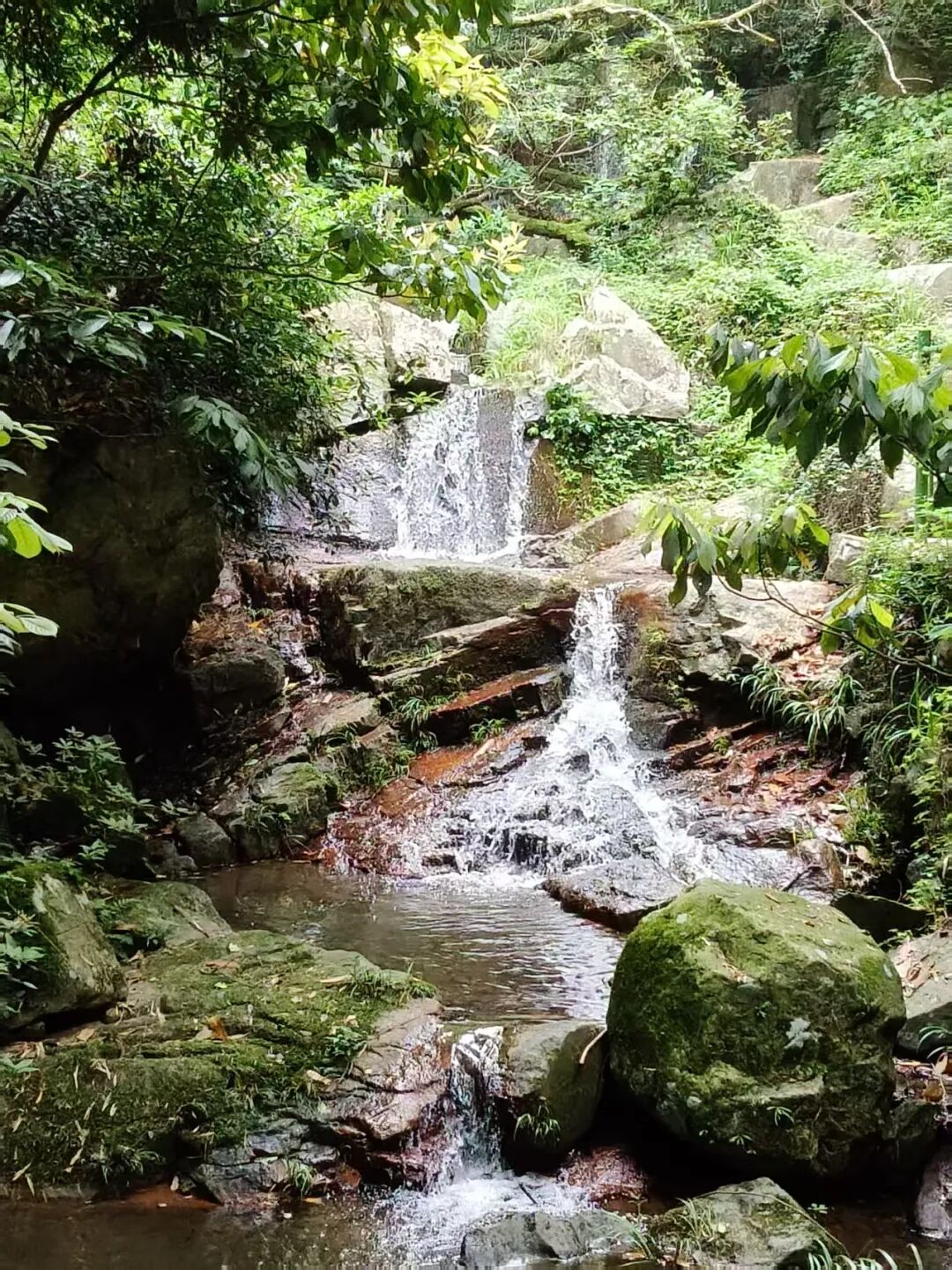 晶锋集团销售精英莫干山研学赋能行：山水为卷，共绘新篇
