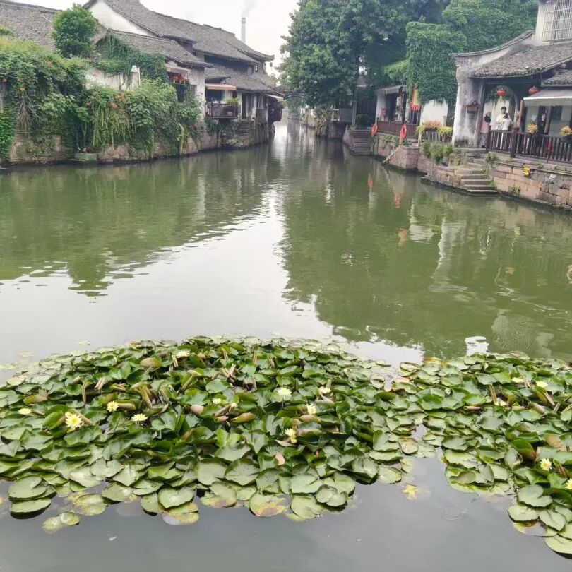 晶锋集团销售精英莫干山研学赋能行：山水为卷，共绘新篇