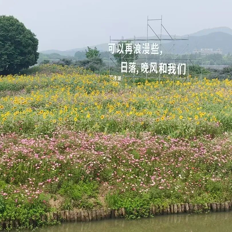 晶锋集团销售精英莫干山研学赋能行：山水为卷，共绘新篇