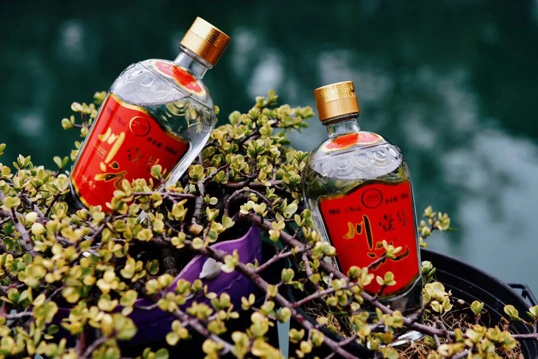 “川味中国寻香馆”荣获《舌尖上的美食》人气热门评选第一名(图17)