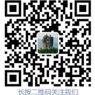 地方银行:地方政府债务已与银行纠缠不清