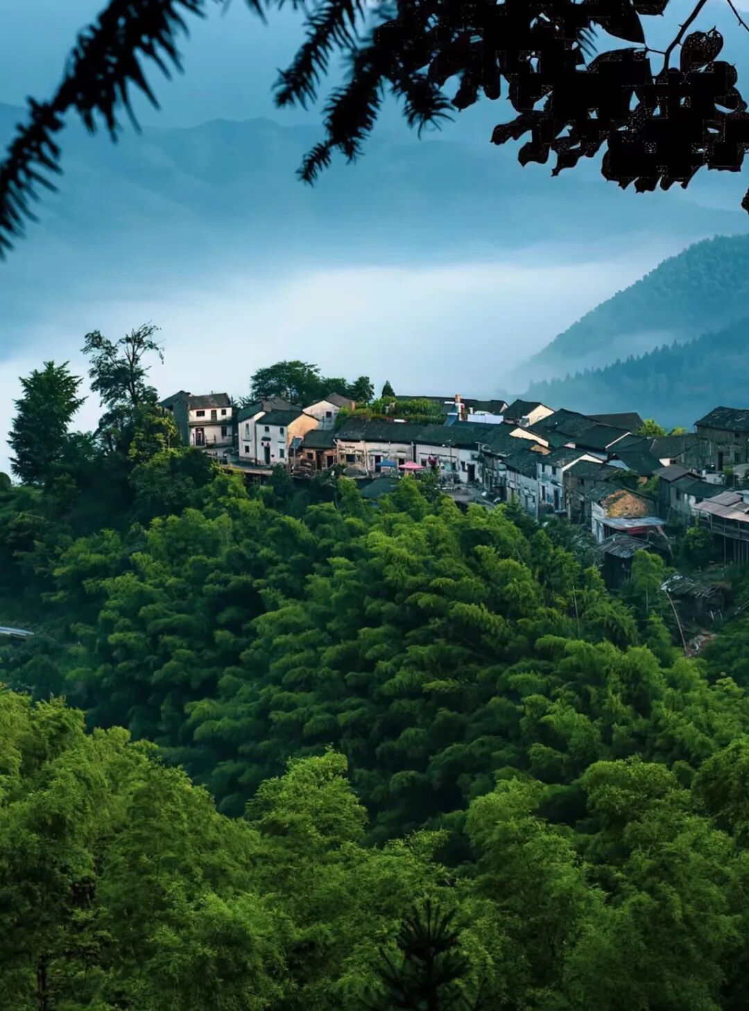 比水墨画更美的老城好吃又好喝藏着最后的江南秘境