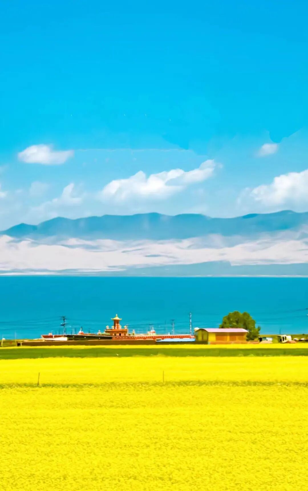 在藏语里,青海湖叫"措温布",意为"青色的海".