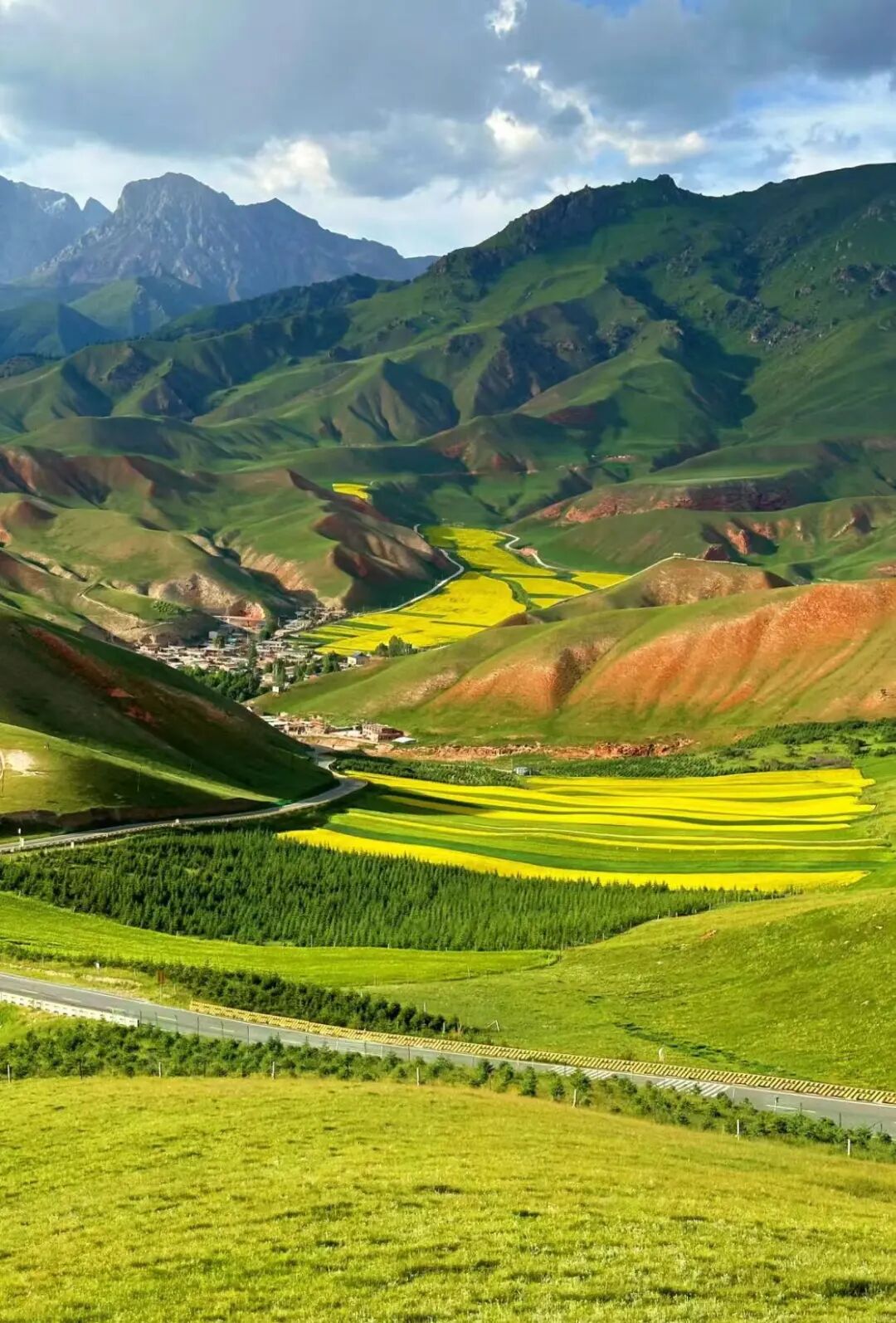 忽然想去青海了