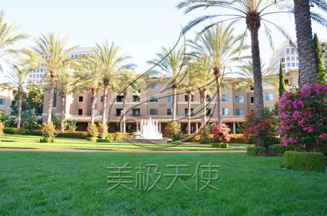 去美國生孩子可以拿到綠嗎_可以到美國生孩子嗎_去美國生孩子可以入美國籍嗎