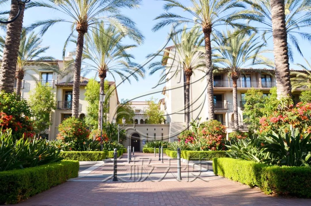 可以到美國生孩子嗎_去美國生孩子可以入美國籍嗎_去美國生孩子可以拿到綠嗎