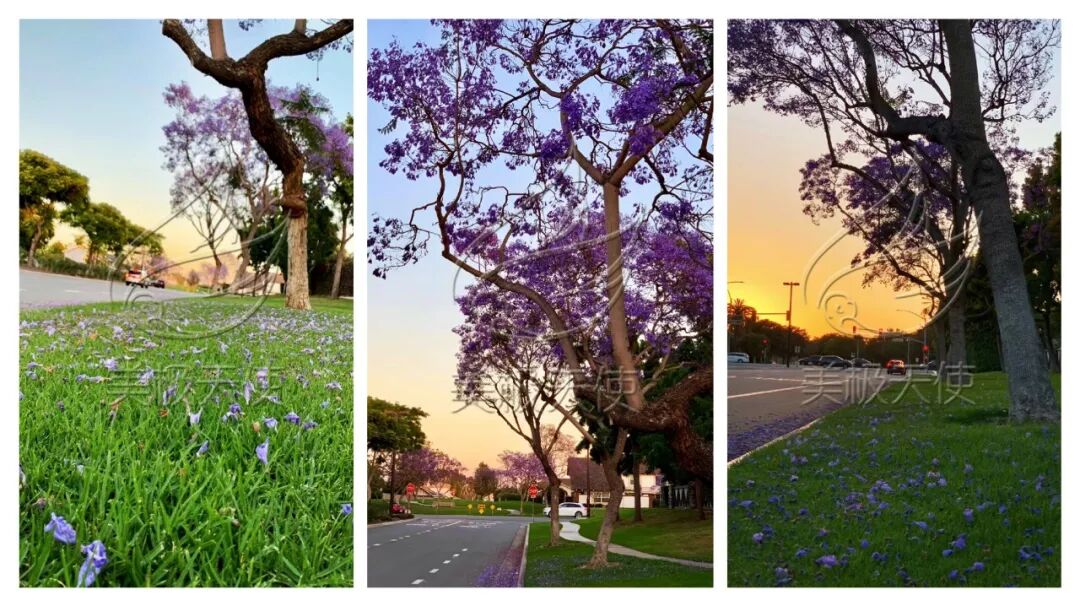 在美國的生孩子_生個美國寶寶的好處_在美國生下孩子