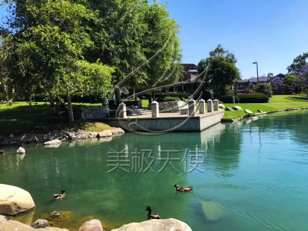 生個美國寶寶的好處_在美國生下孩子_在美國的生孩子