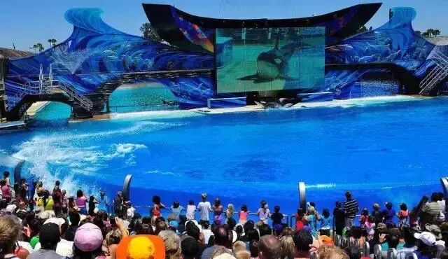 一份详尽的美国旅游攻略，看完可以随意去嗨了！