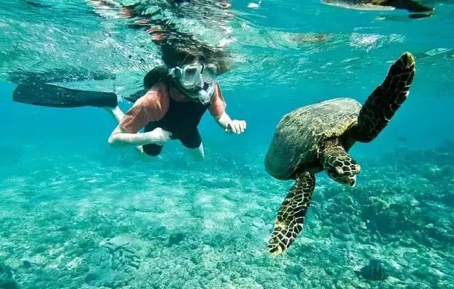 一份详尽的美国旅游攻略，看完可以随意去嗨了！