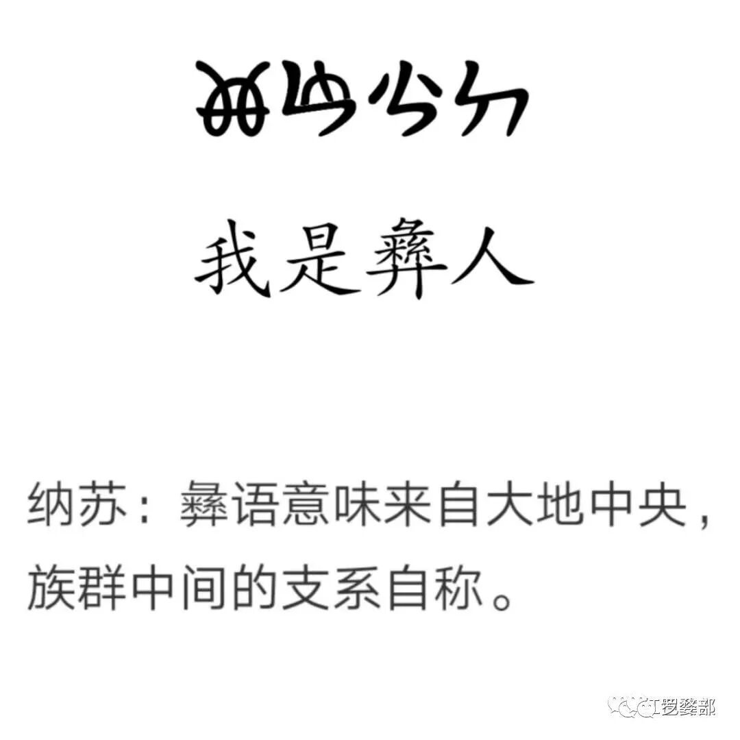 我的民族 我的支系 彝族纳苏 红彝 支系 罗婺部 微信公众号文章阅读 Wemp