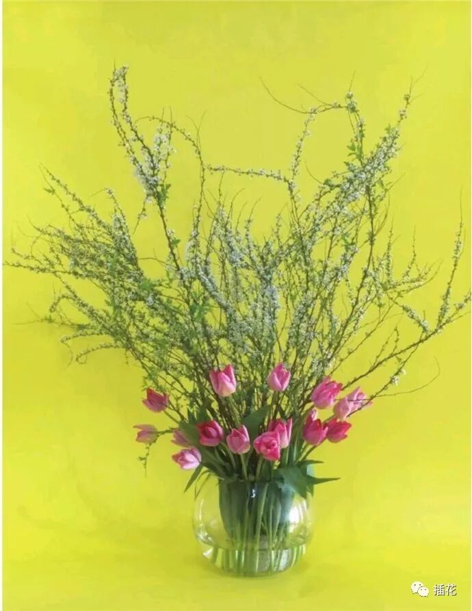 一种花材 如何插出两种风格 Sun和moon花艺工作室 微信公众号文章阅读 Wemp