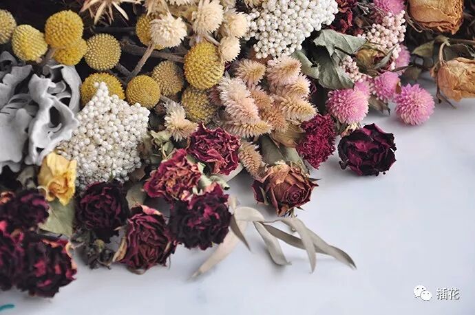 要送就送这几种花，既可以看鲜花也可以制成干花，值！