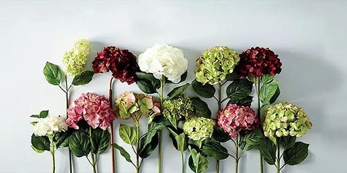 想改变运势？不如买束花吧