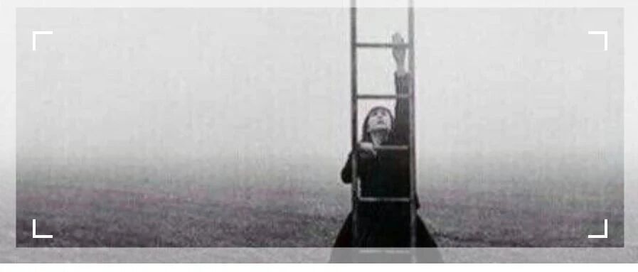 " 要么忍，要么狠，要么滚. "