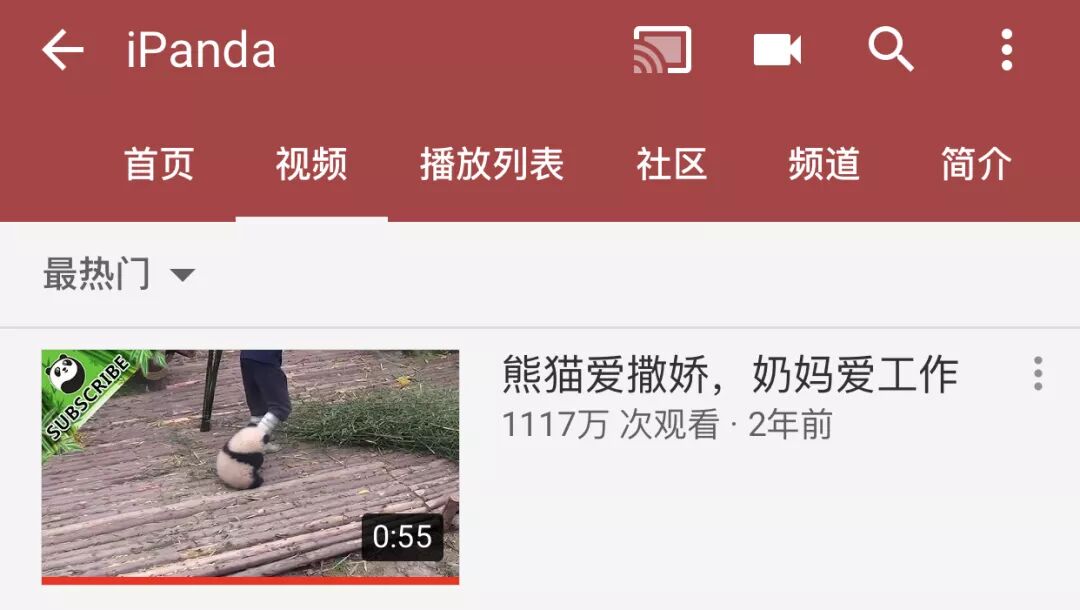 



中国大熊猫帮英国动物园赚1个亿还惨遭电击！背后真相太残忍！
