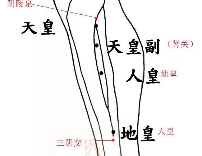 7,下三皇治糖尿病針法與應用:針深五分至一寸