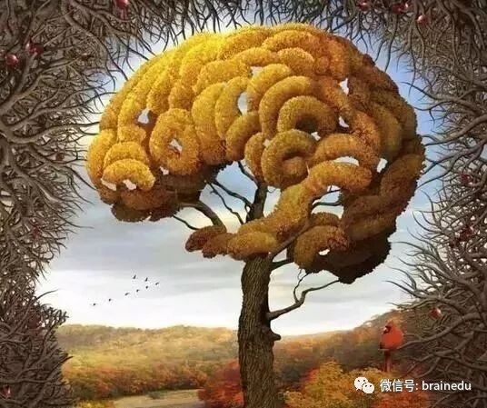 全脑教育让孩子做最好得自己！