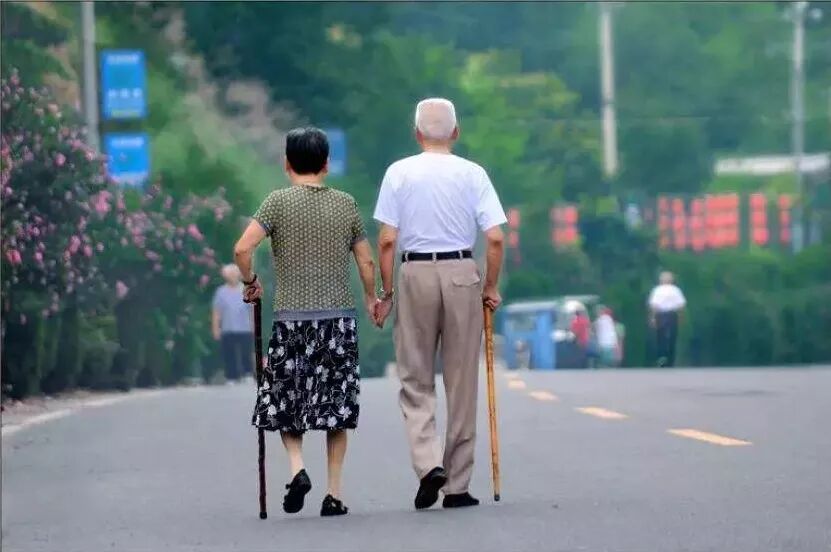 我的图片关键词