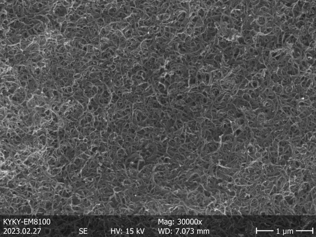碳纳米管扫描电镜图片图片