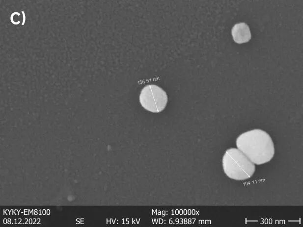 图1是两种粒度有差异的纳米级钛酸钡粉体,我们可以看到它们在各自体系