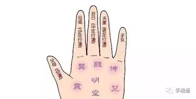女人右手手相怎么看 手相通 微信公众号文章阅读 Wemp