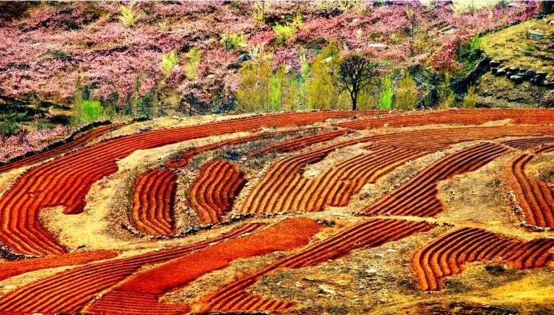 临沂秒杀缅甸卢森堡 再次被全世界瞩目