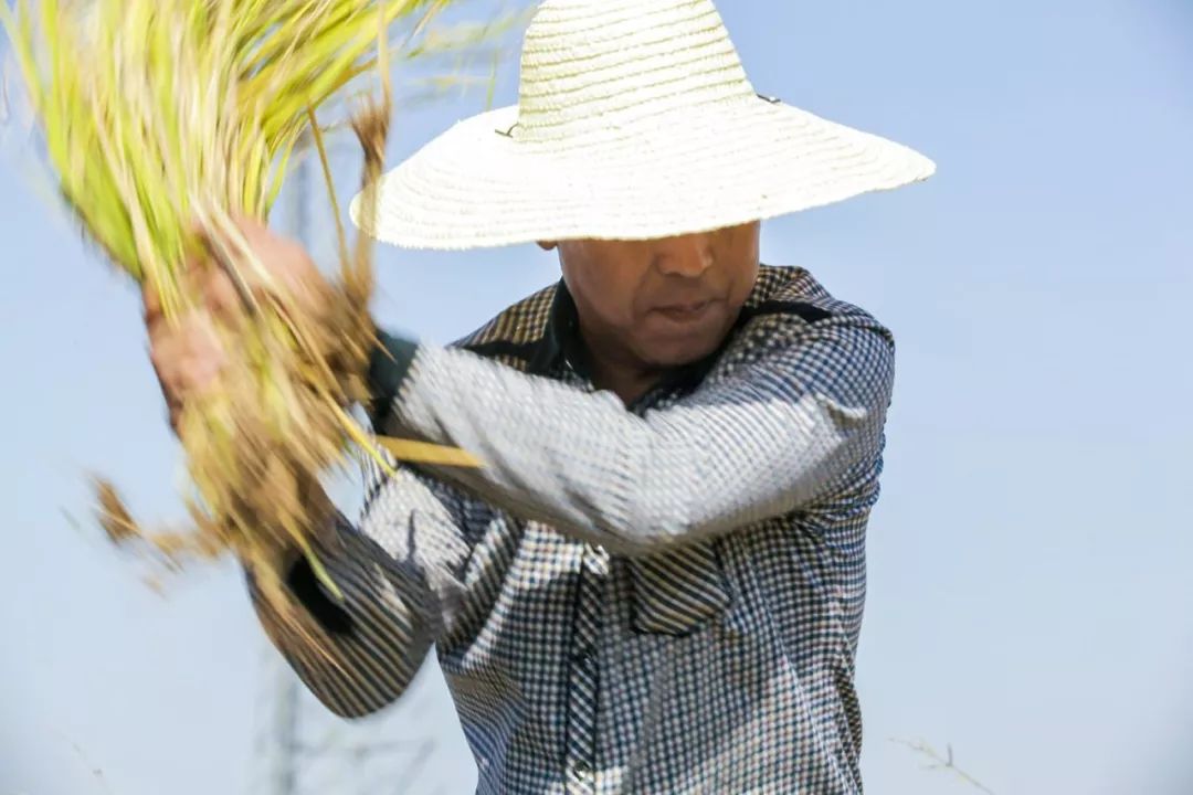 致富故事汇主持人_致富之道主持人_致富经主持人