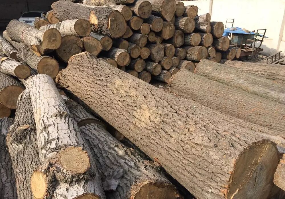 板材,各种常用木材的不同