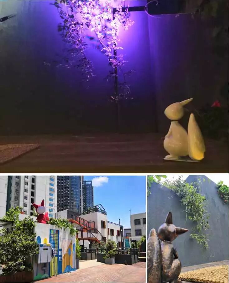 微信图片_20180809122709