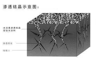 t012032aca5d2ddf768.jpg